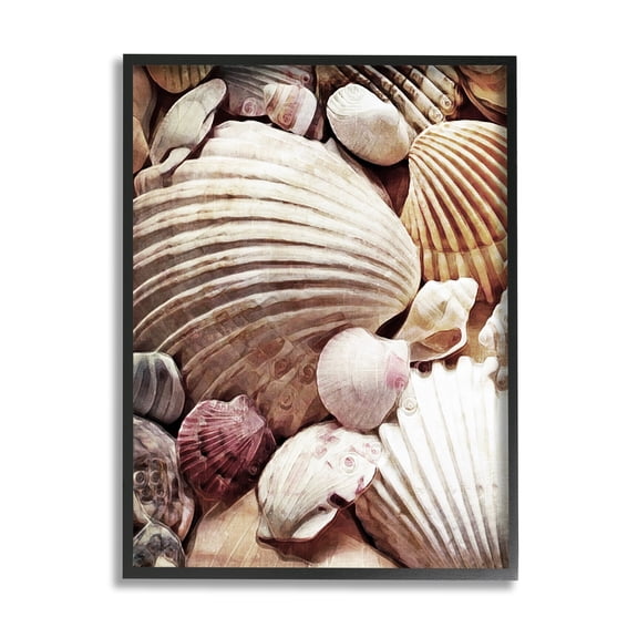 Stupell Various Nautical Clam Conch Shells Landscape Photography Black Framed Art Print Wall Art