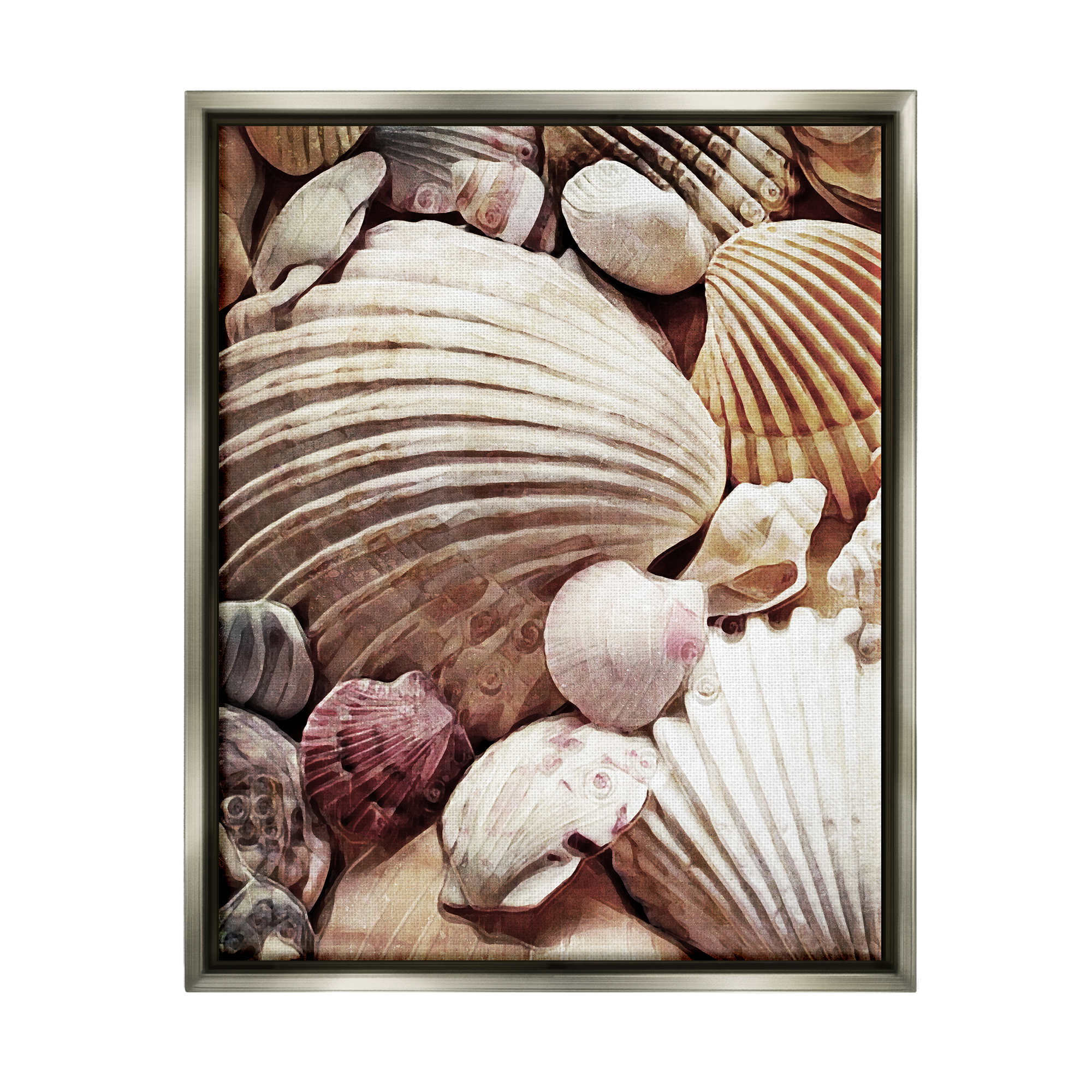Stupell Various Nautical Clam Conch Shells Landscape Photography Gray Floater Framed Art Print Wall Art