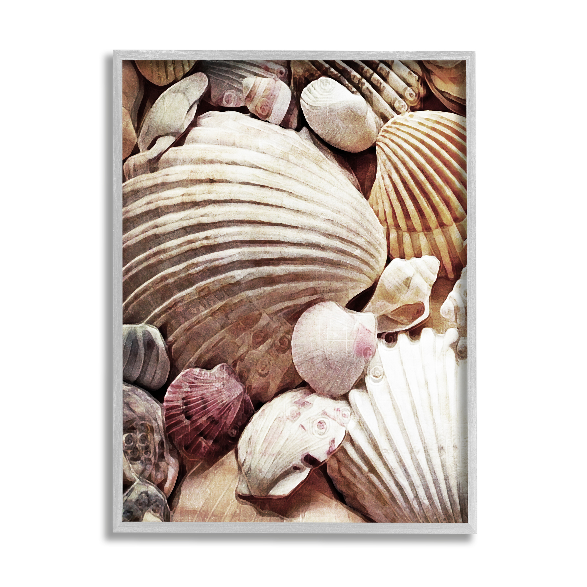 Stupell Various Nautical Clam Conch Shells Landscape Photography Gray Framed Art Print Wall Art