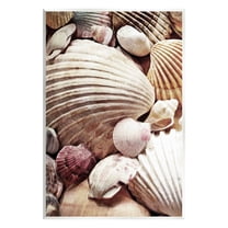 Stupell Various Nautical Clam Conch Shells Landscape Photography Wall Plaque Unframed Art Print Wall Art