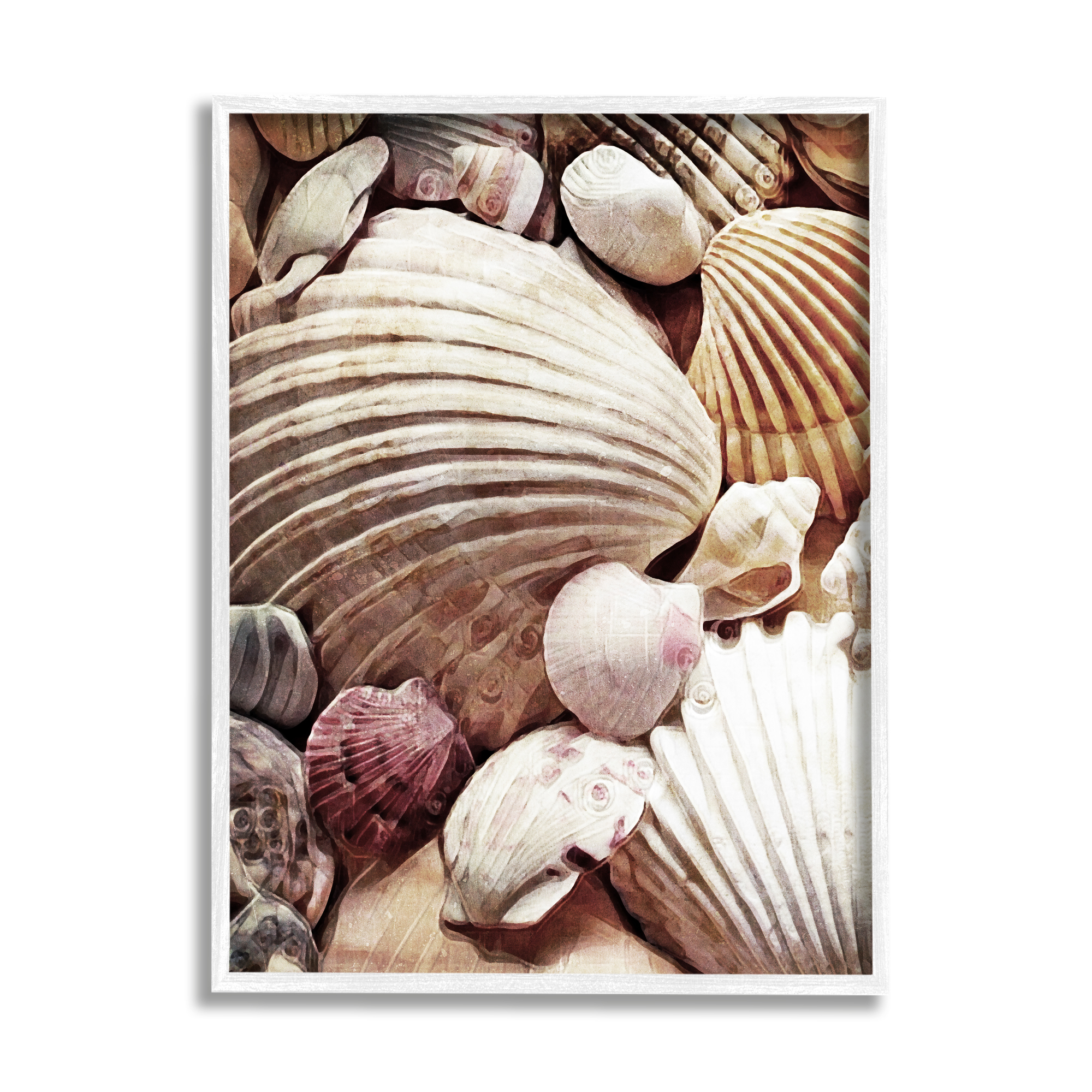 Stupell Various Nautical Clam Conch Shells Landscape Photography White Framed Art Print Wall Art