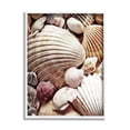 thumbnail image 1 of Stupell Various Nautical Clam Conch Shells Landscape Photography White Framed Art Print Wall Art, 1 of 7