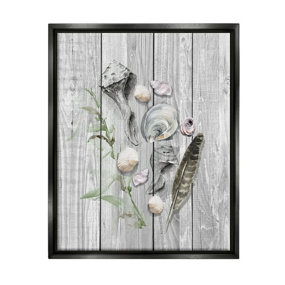 Stupell Various Sea Life Coastal Shells Landscape Painting Black Floater Framed Art Print Wall Art