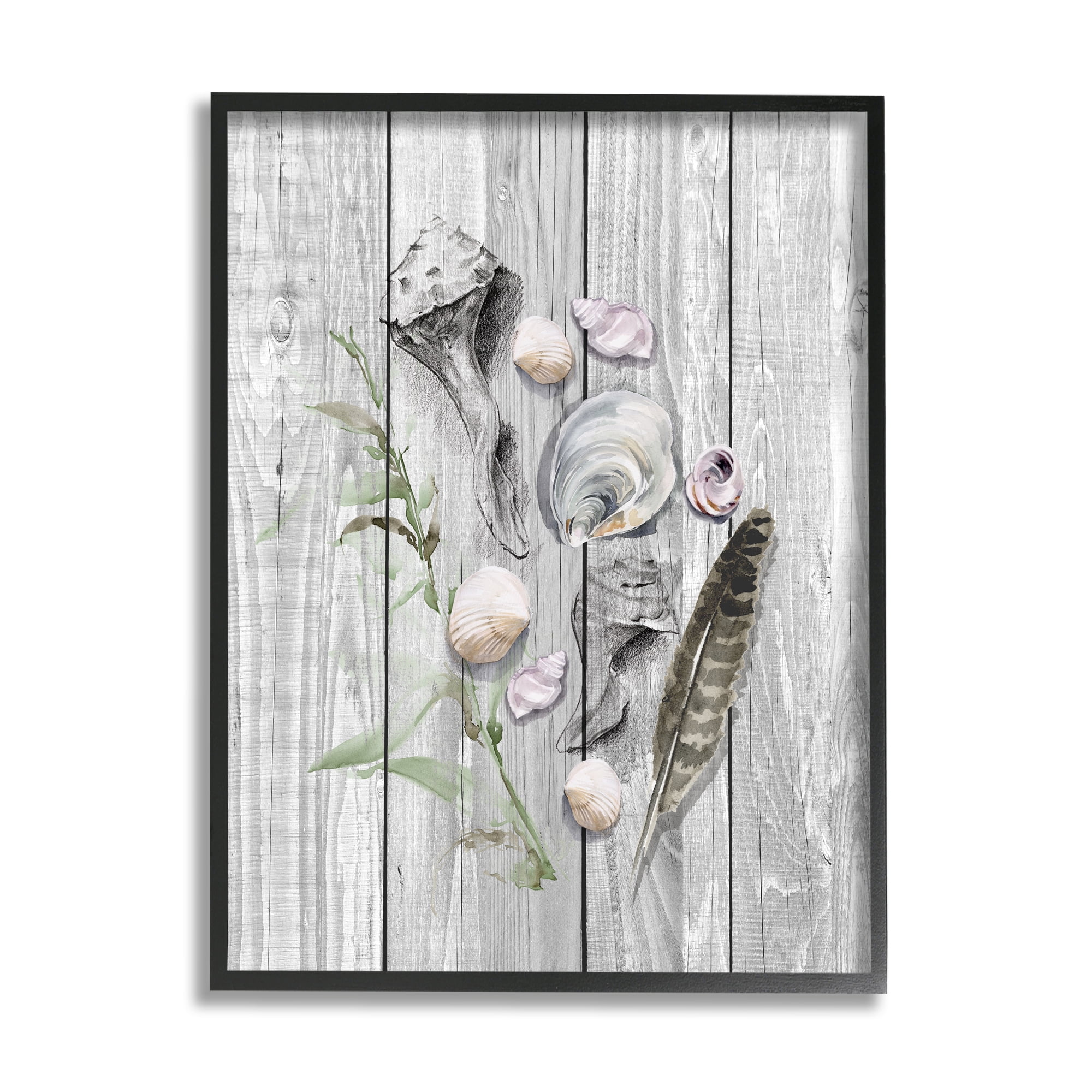 Stupell Various Sea Life Coastal Shells Landscape Painting Black Framed Art Print Wall Art
