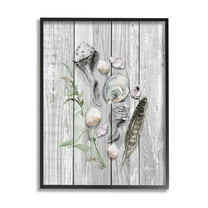 Stupell Various Sea Life Coastal Shells Landscape Painting Black Framed Art Print Wall Art