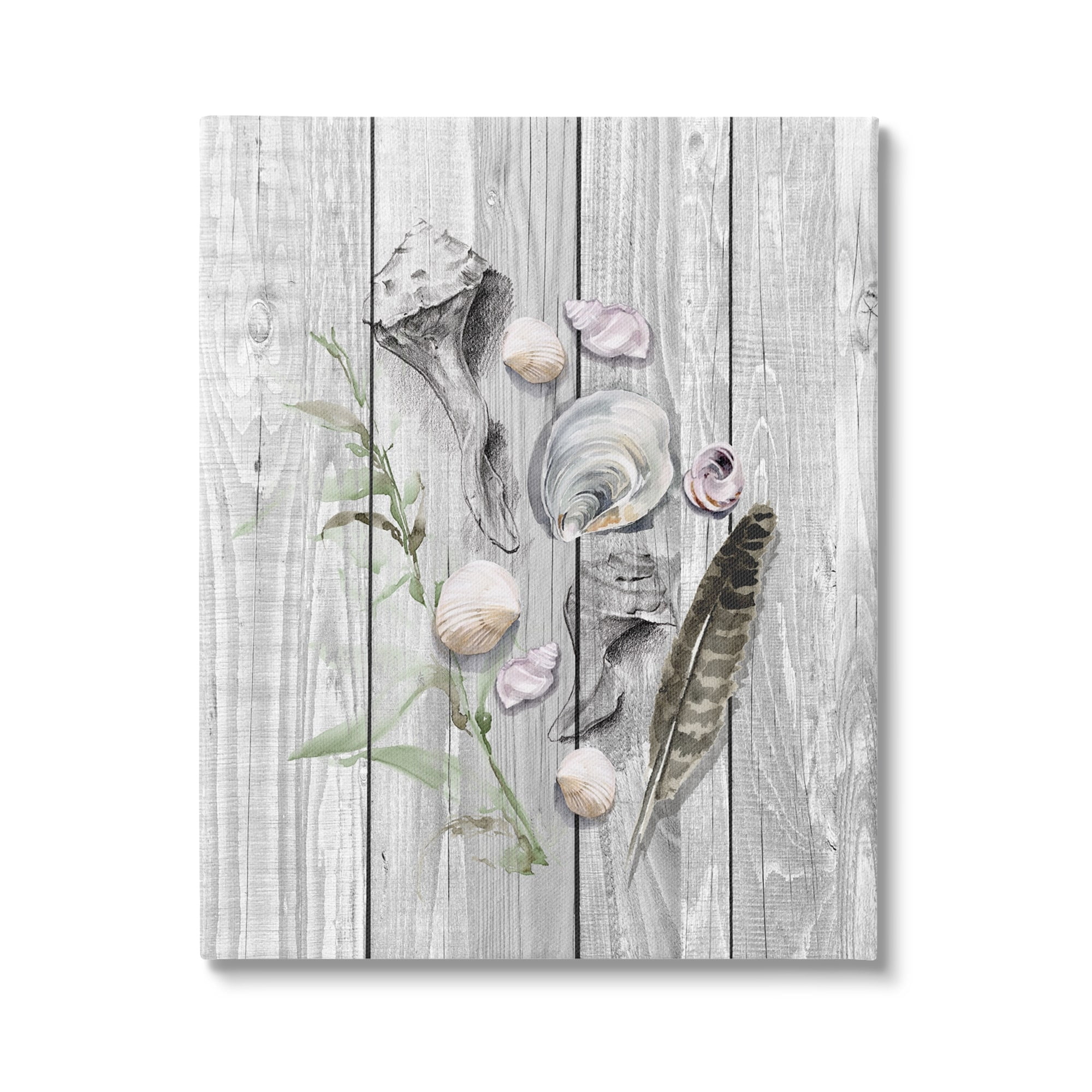 Stupell Various Sea Life Coastal Shells Landscape Painting Gallery Wrapped Canvas Print Wall Art