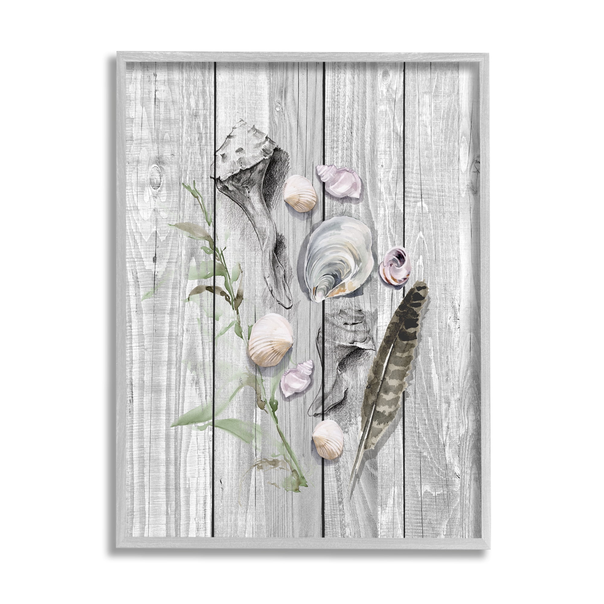 Stupell Various Sea Life Coastal Shells Landscape Painting Gray Framed Art Print Wall Art