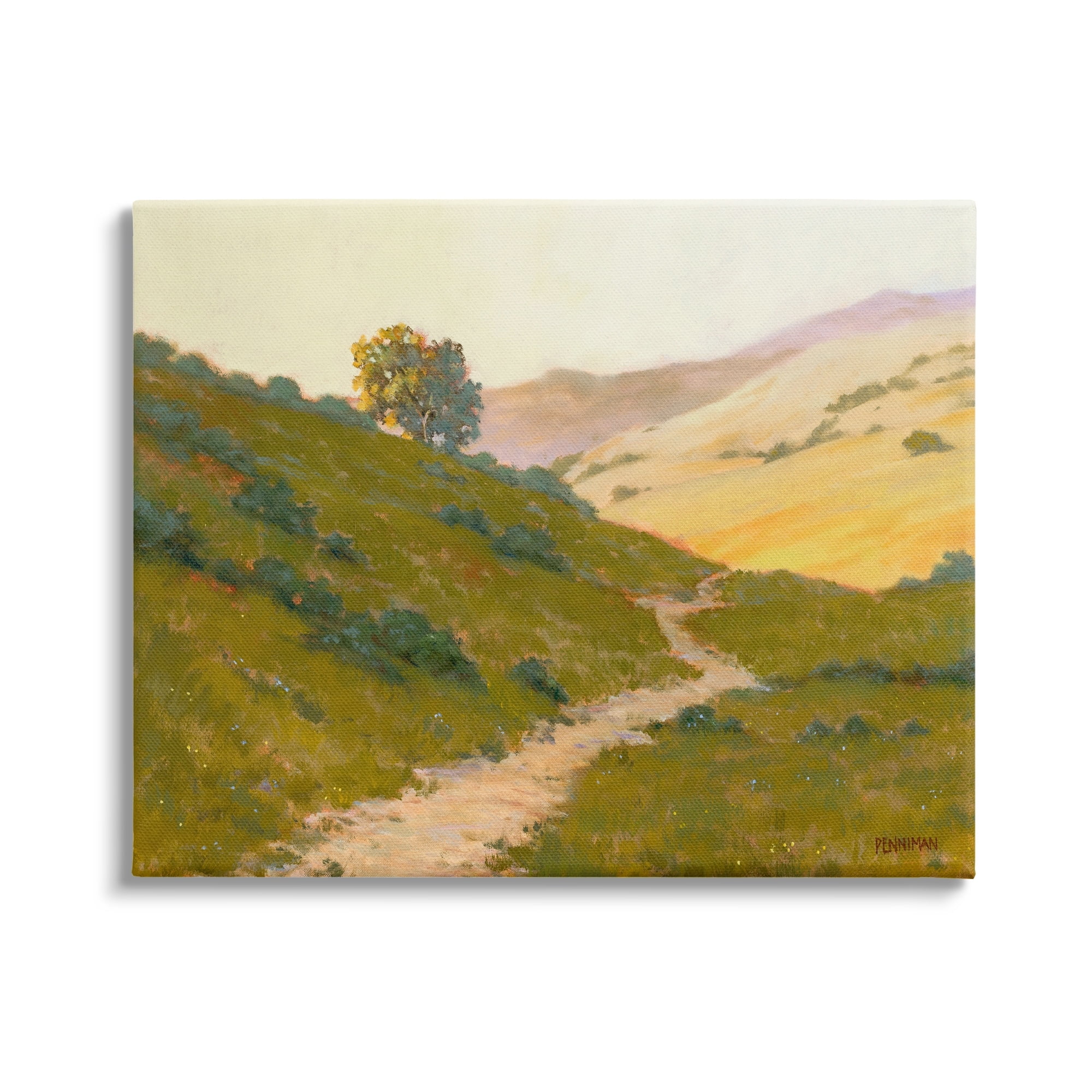 Stupell Vast Rural Landscape Path Landscape Painting Gallery Wrapped Canvas Print Wall Art