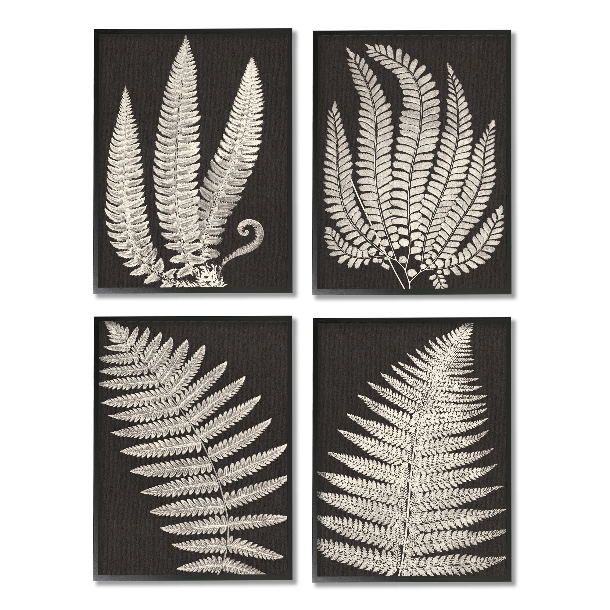 Stupell Vintage Nature Fern Leaf Silhouettes Botanical & Floral Painting Black Framed Art Print Wall Art, Set of 4
