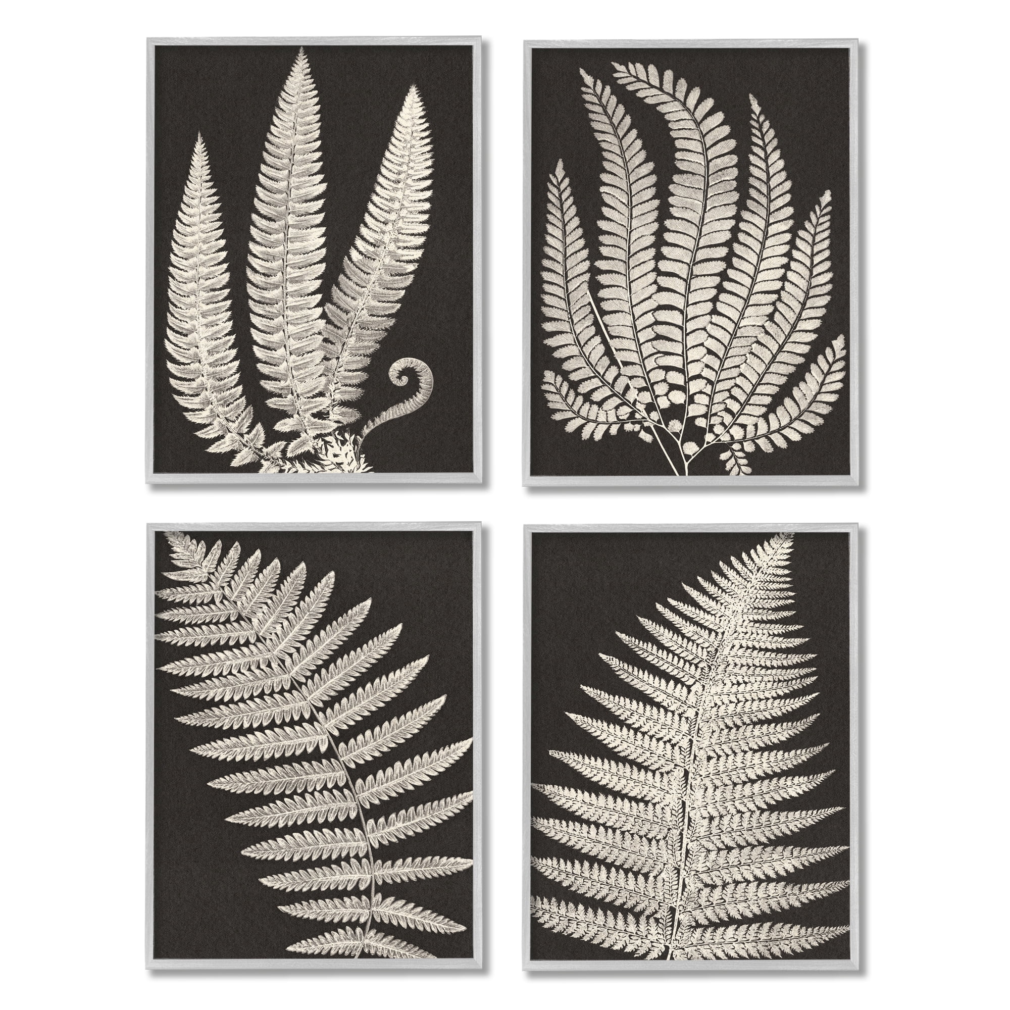 Stupell Vintage Nature Fern Leaf Silhouettes Botanical & Floral Painting Gray Framed Art Print Wall Art, Set of 4