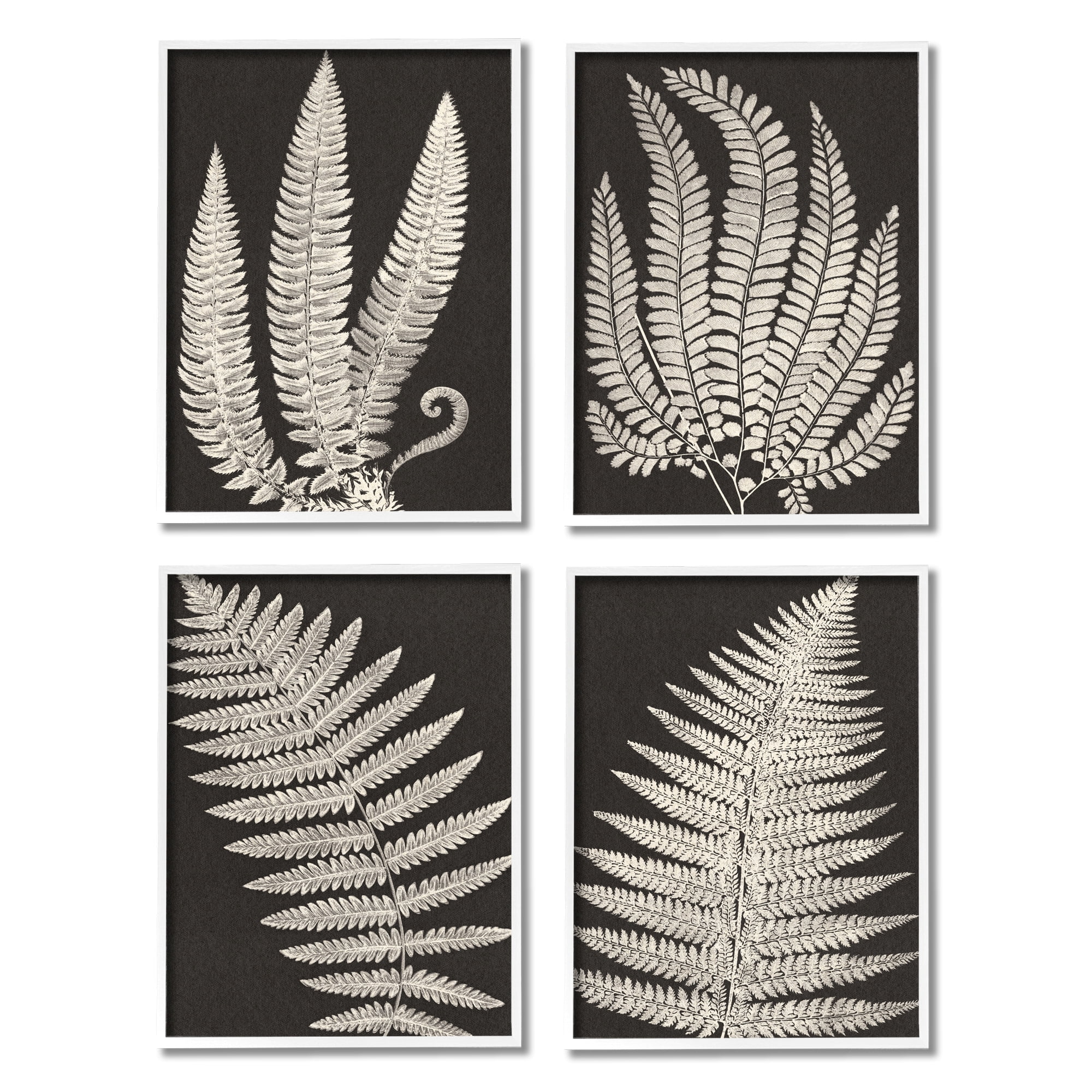 Stupell Vintage Nature Fern Leaf Silhouettes Botanical & Floral Painting White Framed Art Print Wall Art, Set of 4