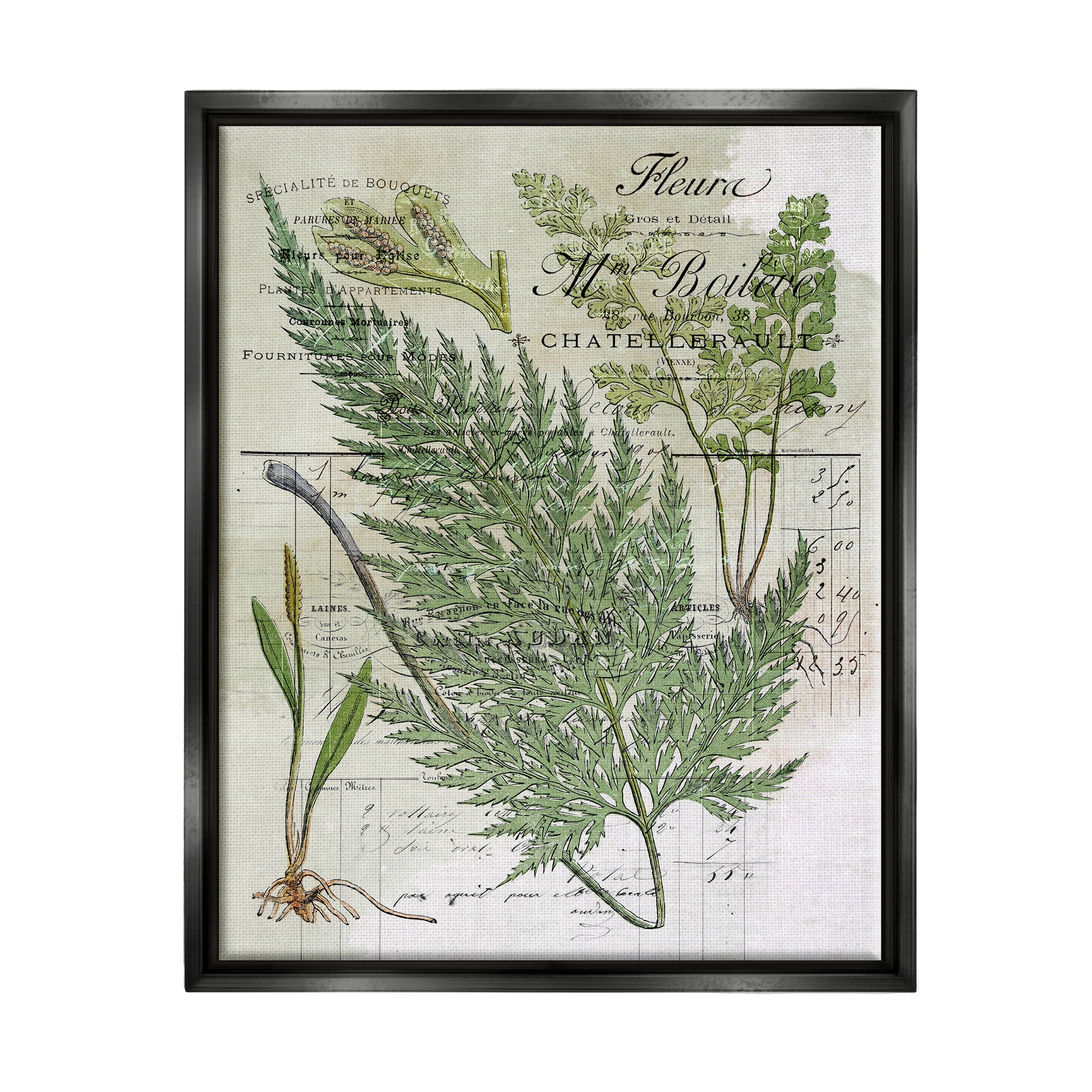 Stupell Vintage Nature Fern Studies Botanical & Floral Painting Black Floater Framed Art Print Wall Art