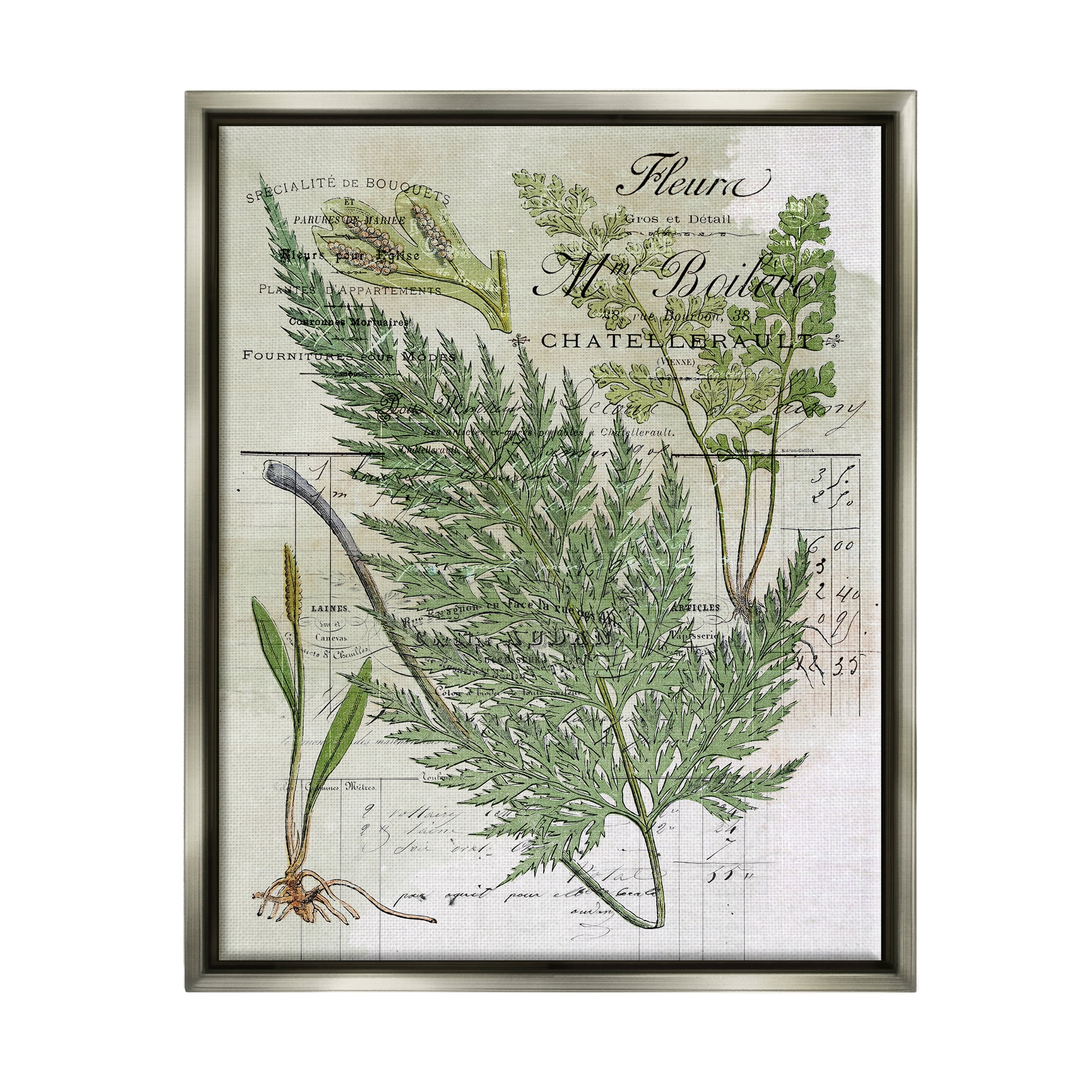 Stupell Vintage Nature Fern Studies Botanical & Floral Painting Gray Floater Framed Art Print Wall Art