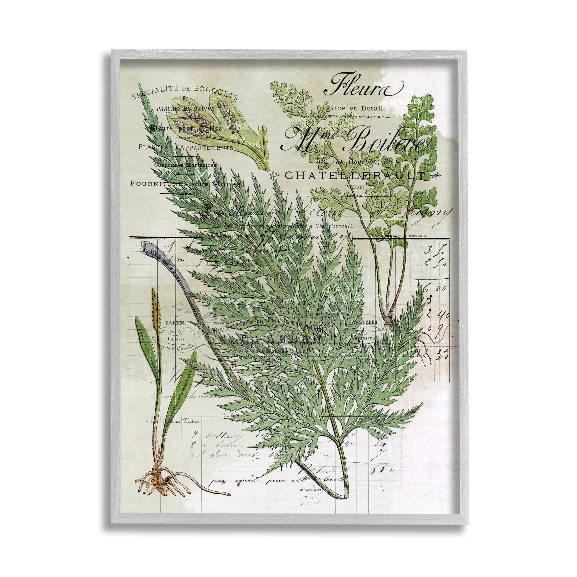 Stupell Vintage Nature Fern Studies Botanical & Floral Painting Gray Framed Art Print Wall Art
