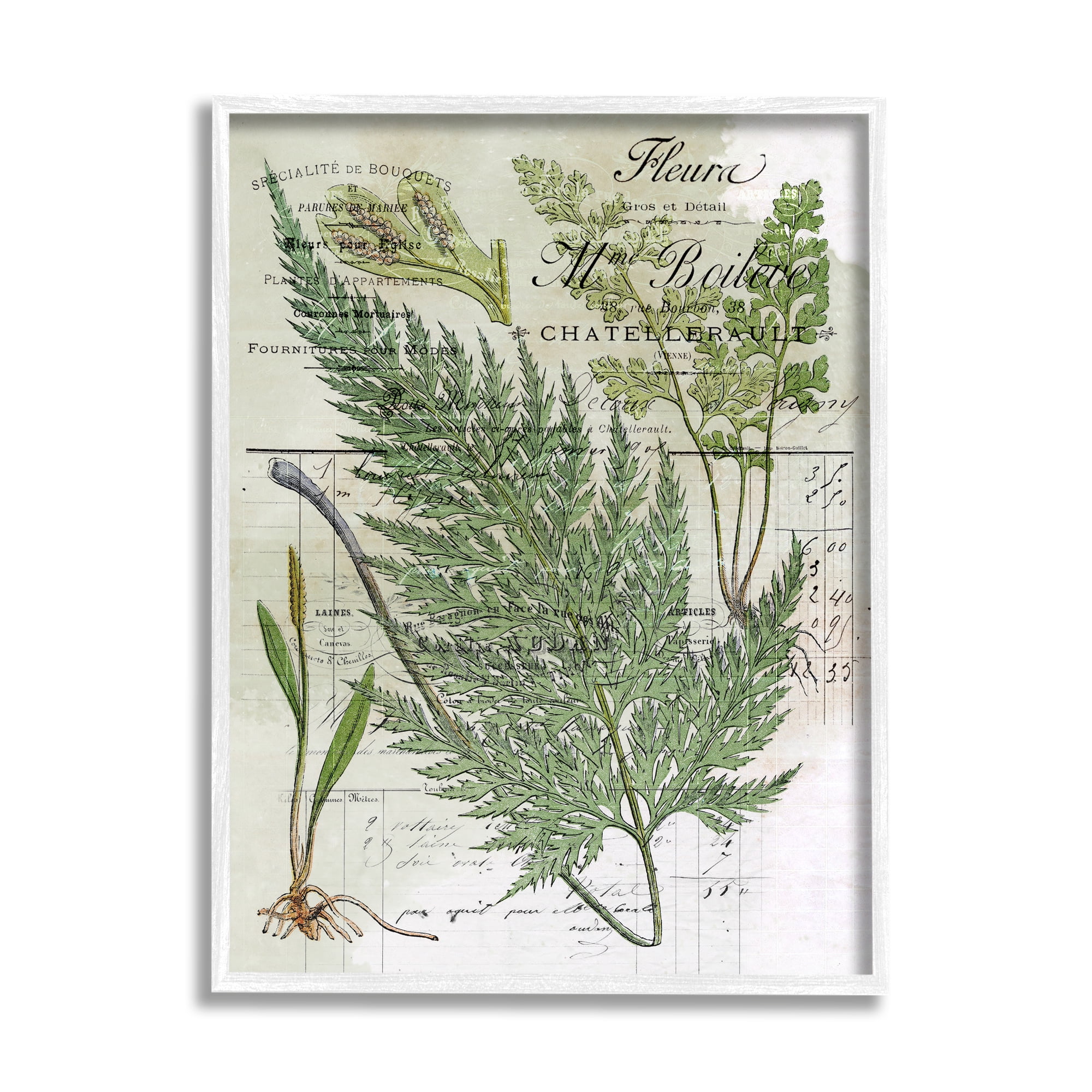 Stupell Vintage Nature Fern Studies Botanical & Floral Painting White Framed Art Print Wall Art