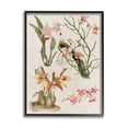 thumbnail image 1 of Stupell Vintage Studies Varied Flora Botanical & Floral Painting Black Framed Art Print Wall Art, 1 of 7