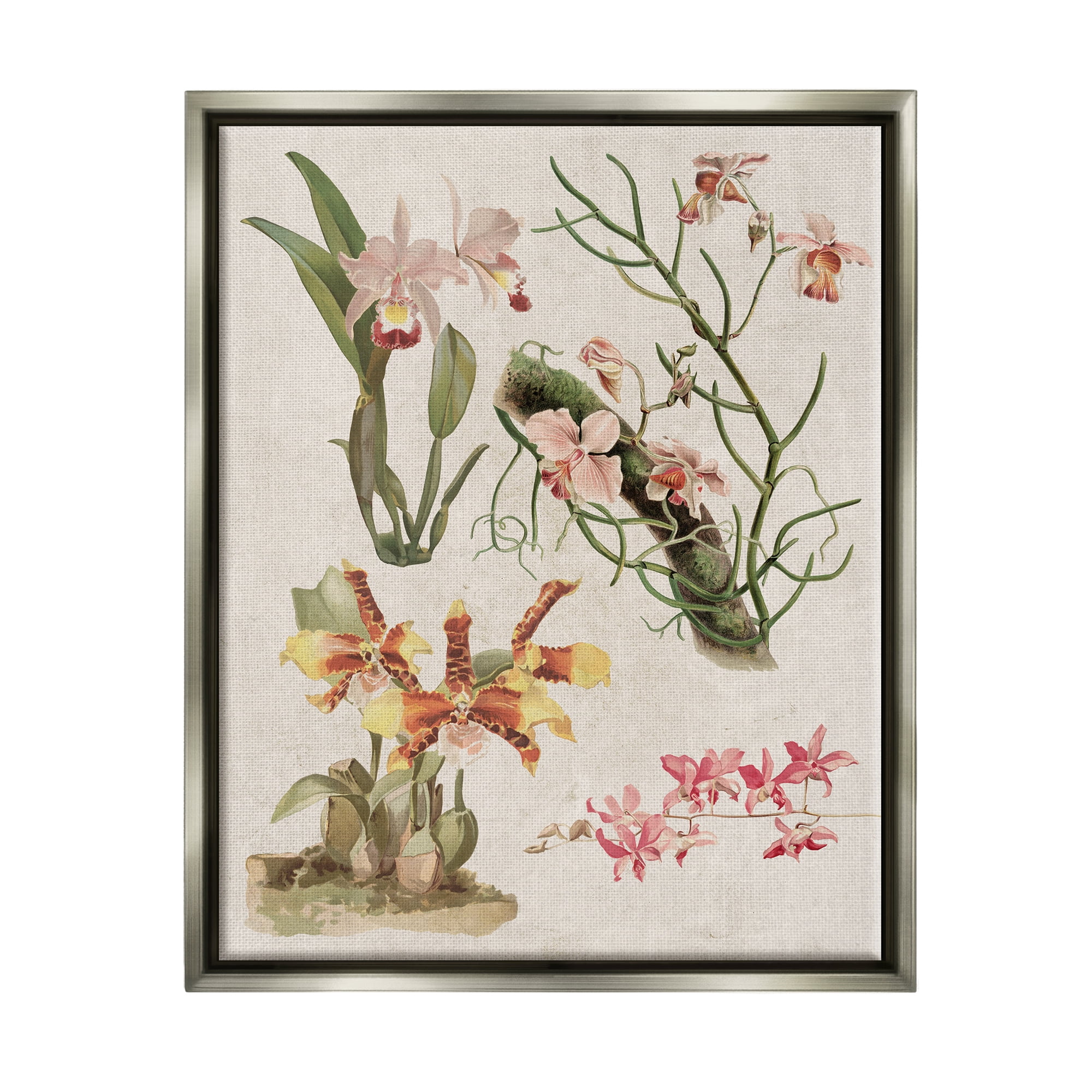 Stupell Vintage Studies Varied Flora Botanical & Floral Painting Gray Floater Framed Art Print Wall Art