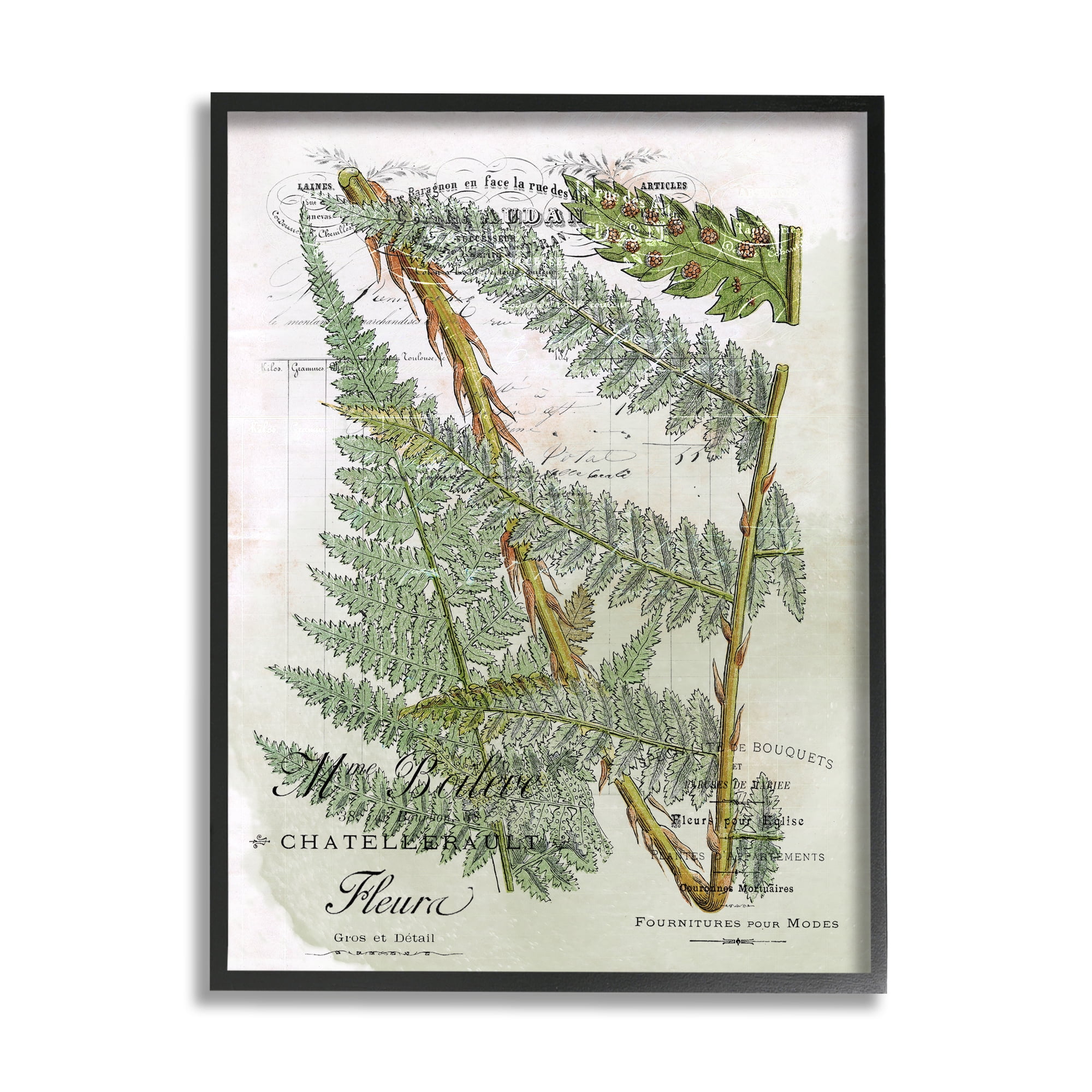 Stupell Vintage Vegetation Various Ferns Botanical & Floral Painting Black Framed Art Print Wall Art