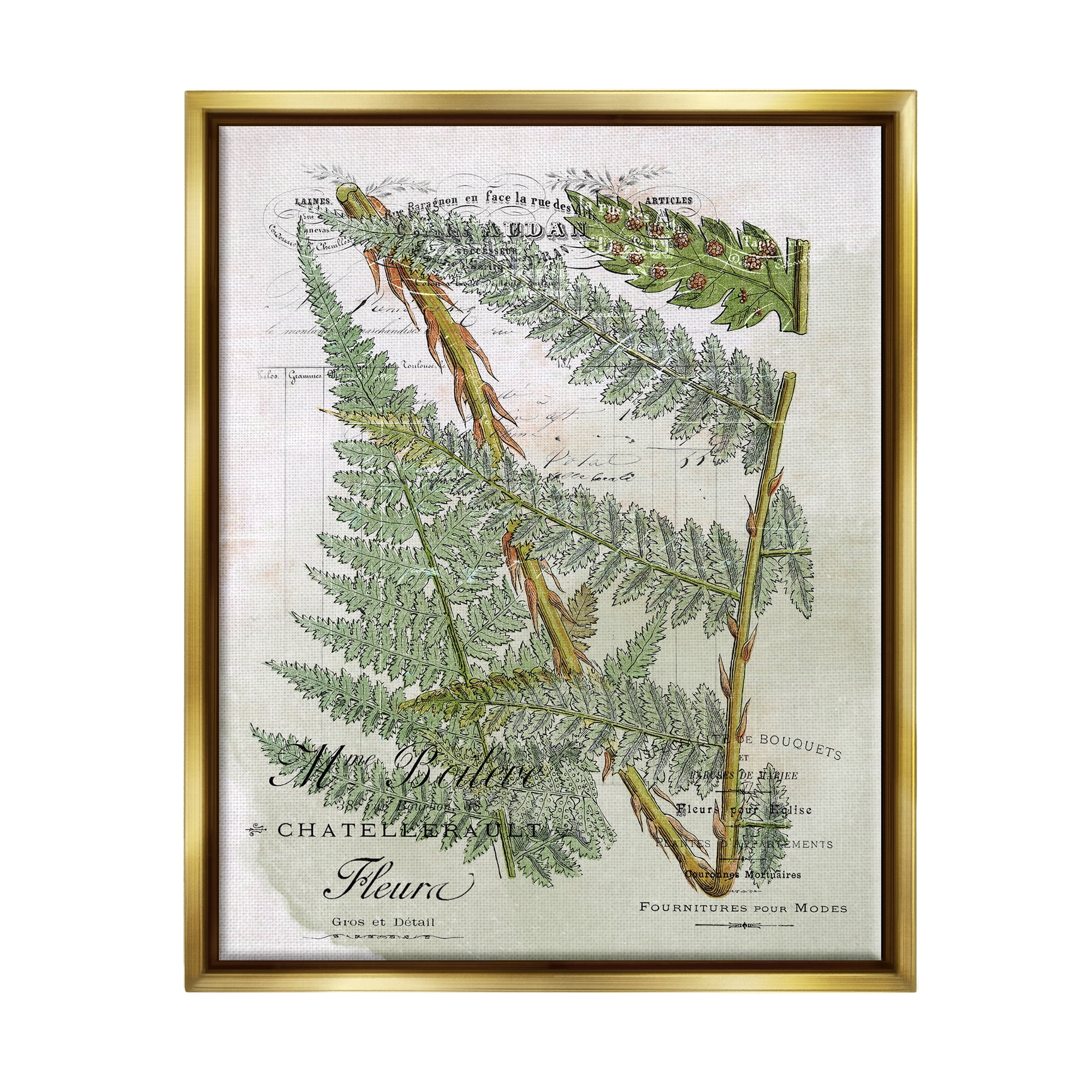 Stupell Vintage Vegetation Various Ferns Botanical & Floral Painting Gold Floater Framed Art Print Wall Art