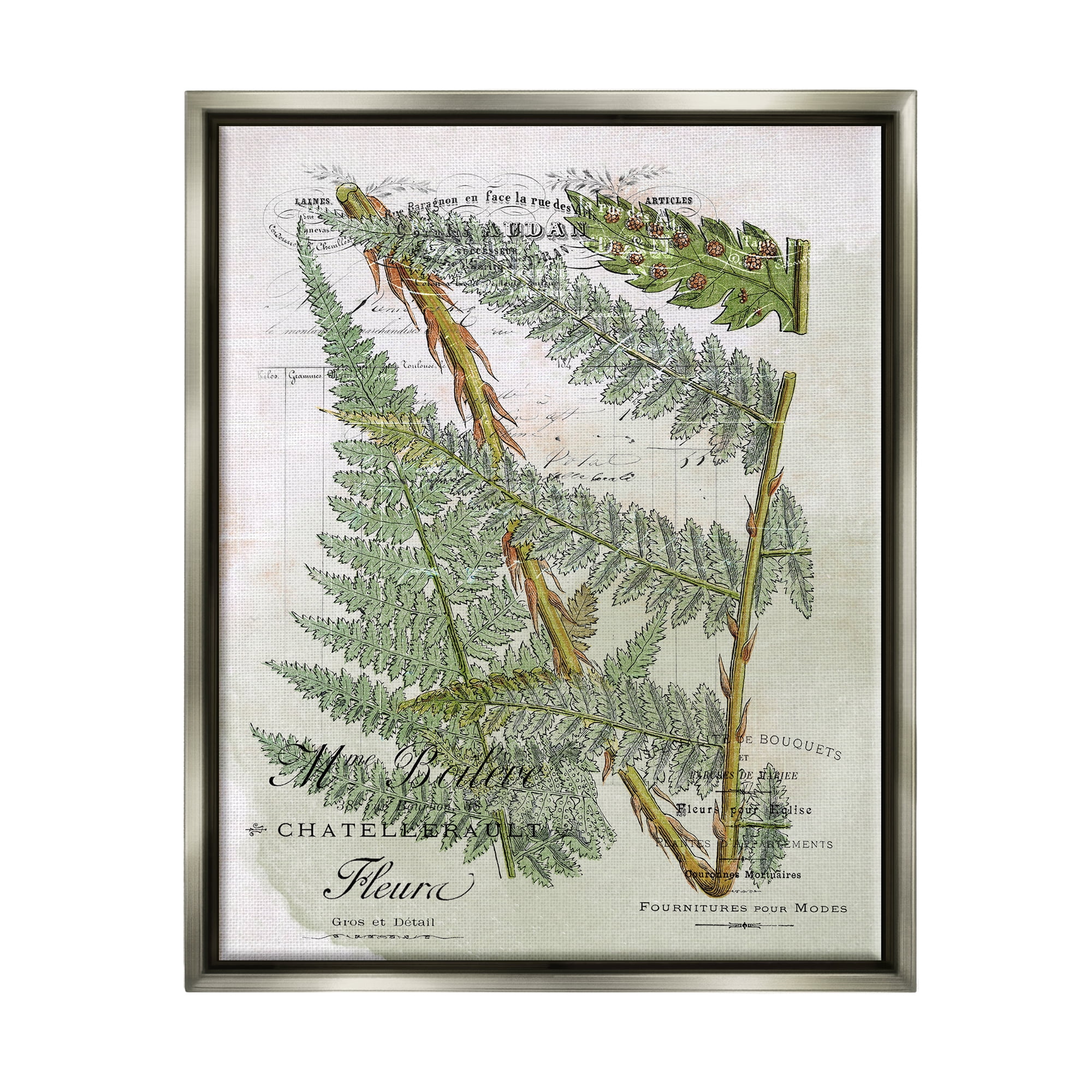 Stupell Vintage Vegetation Various Ferns Botanical & Floral Painting Gray Floater Framed Art Print Wall Art