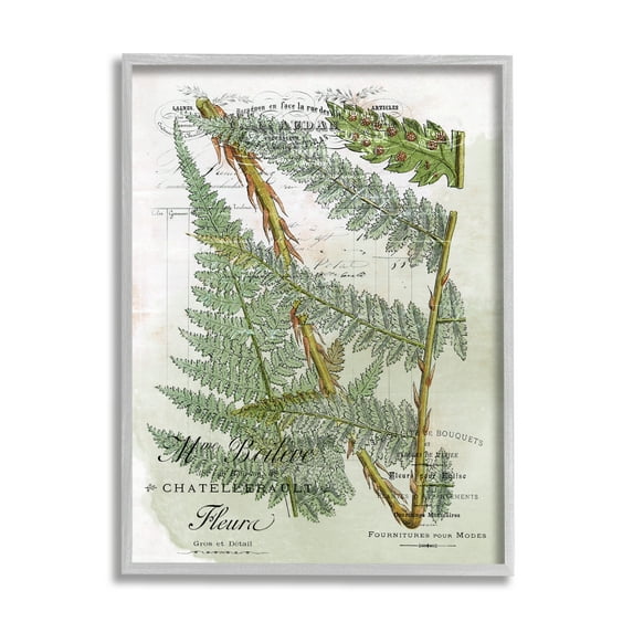 Stupell Vintage Vegetation Various Ferns Botanical & Floral Painting Gray Framed Art Print Wall Art