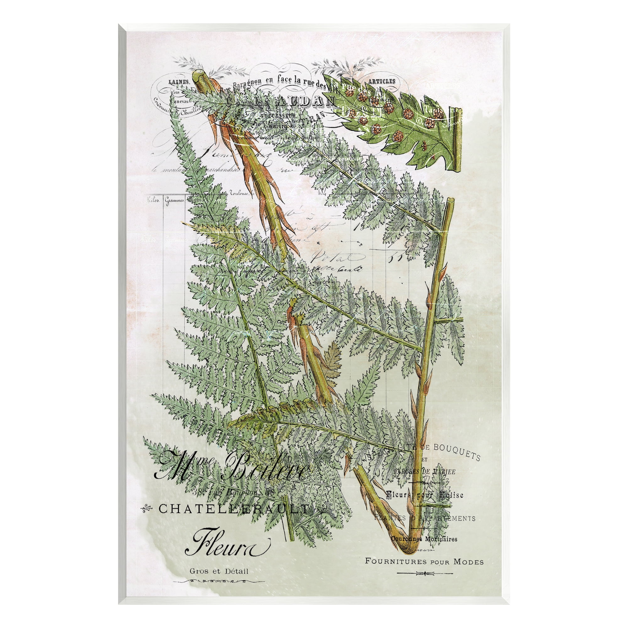 Stupell Vintage Vegetation Various Ferns Botanical & Floral Painting Wall Plaque Unframed Art Print Wall Art