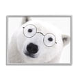 thumbnail image 1 of Stupell White Polar Bear Glasses Animal Animals & Insects Painting Gray Framed Art Print Wall Art, 1 of 7