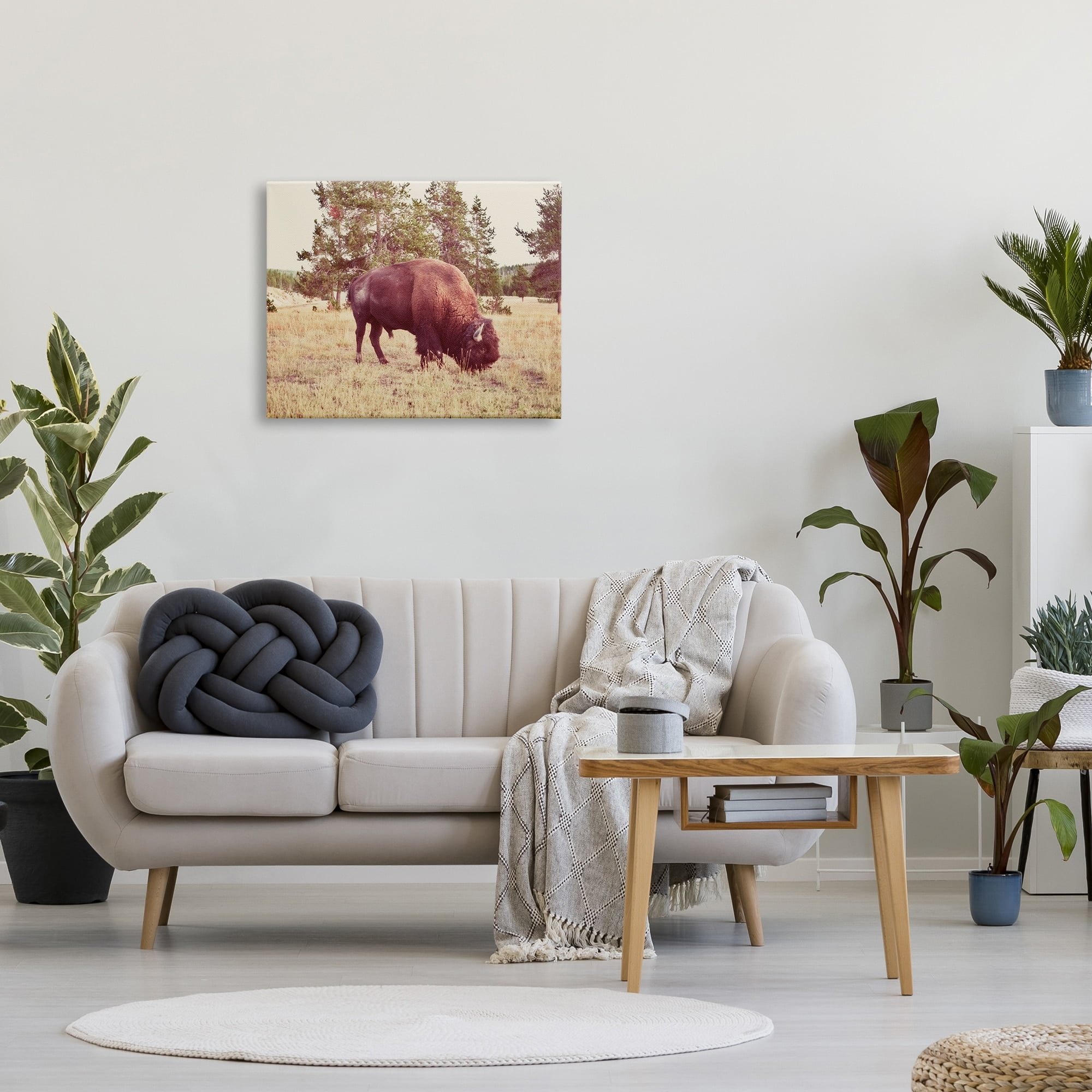Stupell Wild Bison Rural Nature Scenery Animals & Insects Photography Gallery Wrapped Canvas Print Wall Art