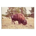 thumbnail image 1 of Stupell Wild Bison Rural Nature Scenery Animals & Insects Photography Wall Plaque Unframed Art Print Wall Art, 1 of 6