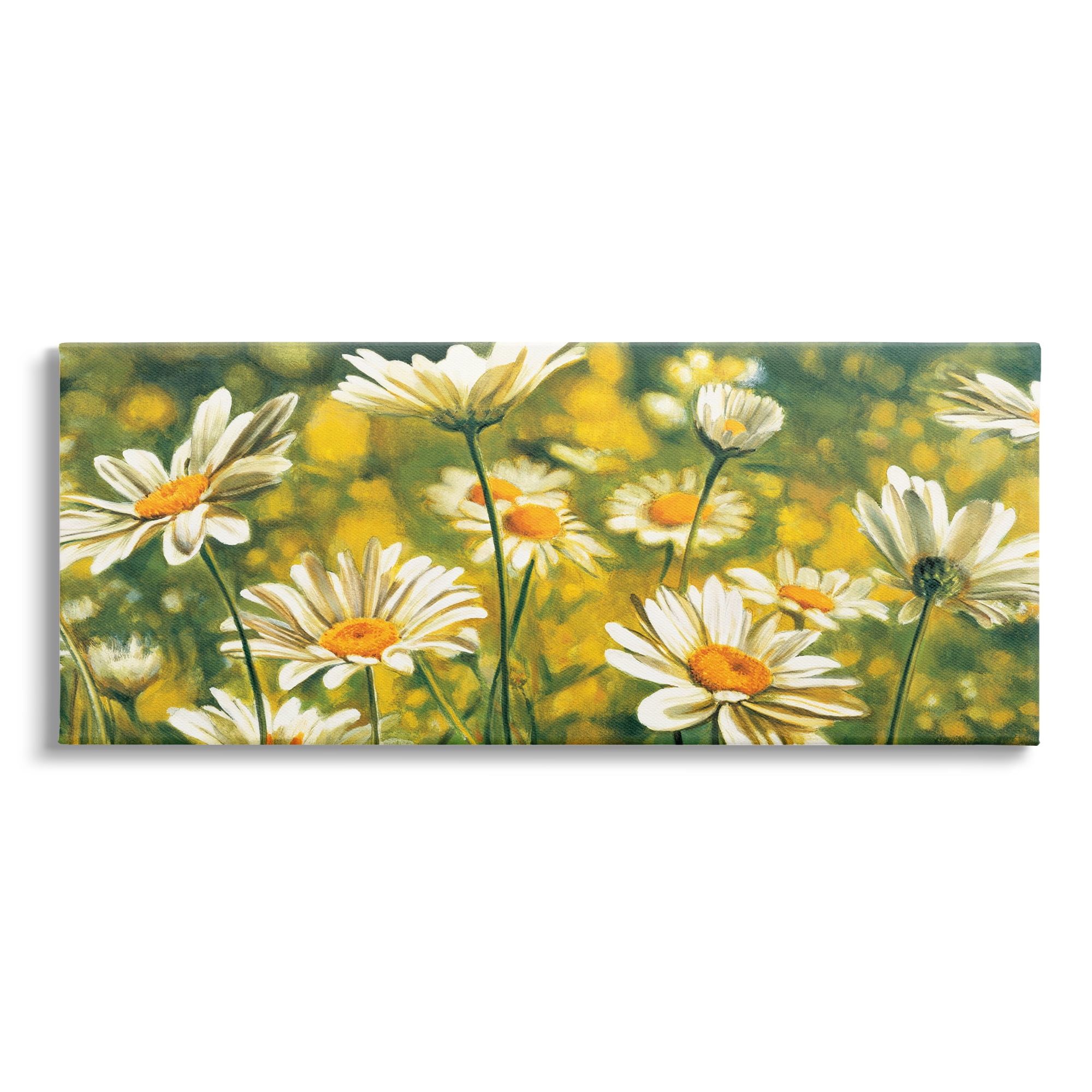 Stupell Wild Daisies Blooming Nature Garden Botanical & Floral Painting Gallery Wrapped Canvas Print Wall Art