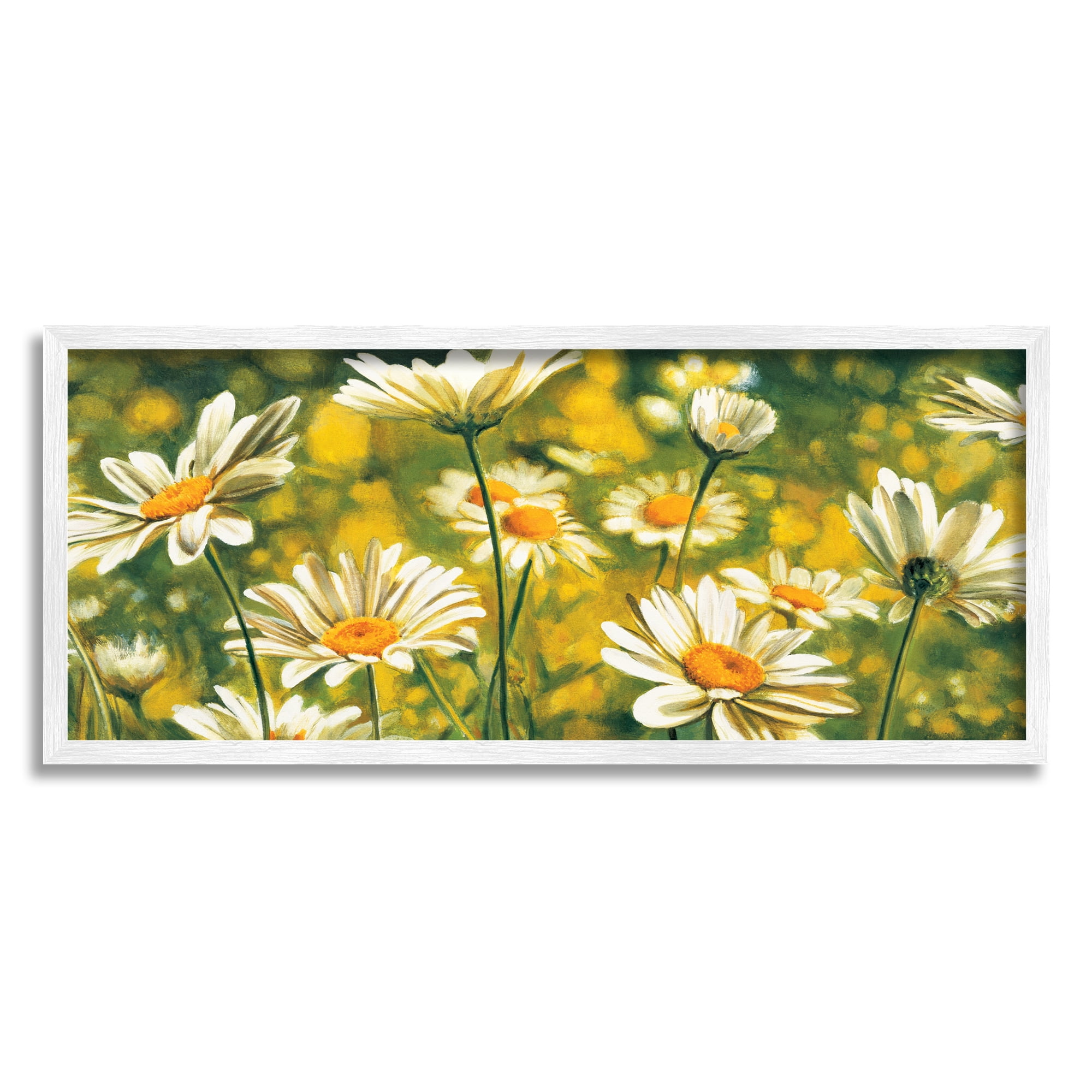 Stupell Wild Daisies Blooming Nature Garden Botanical & Floral Painting White Framed Art Print Wall Art