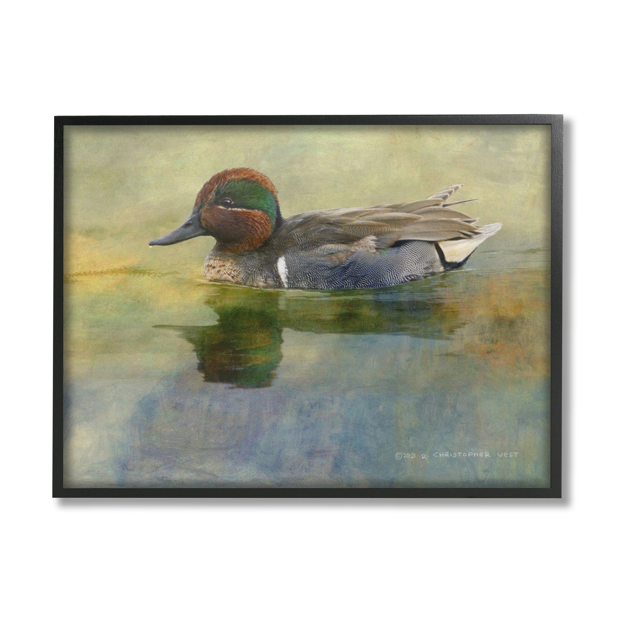 Stupell Wild Duck Nature Pond Wildlife Animals & Insects Photography Black Framed Art Print Wall Art