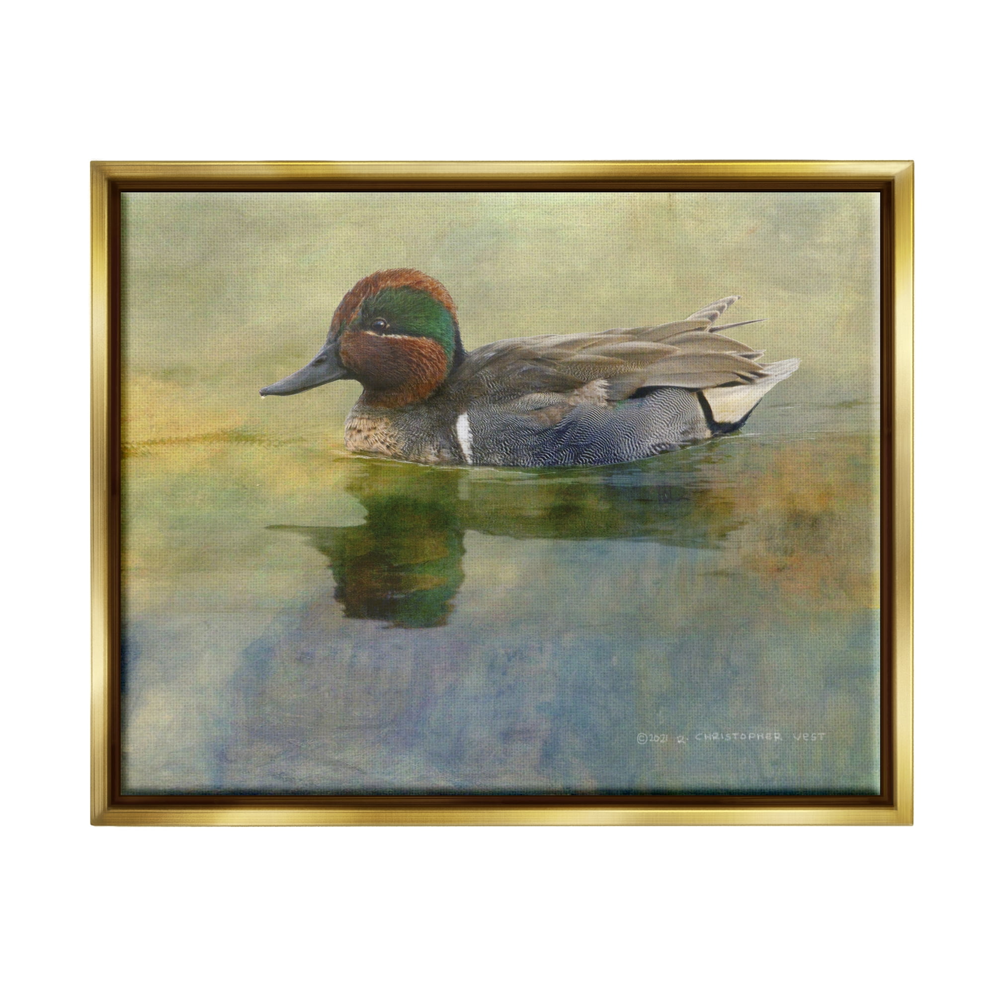 Stupell Wild Duck Nature Pond Wildlife Animals & Insects Photography Gold Floater Framed Art Print Wall Art