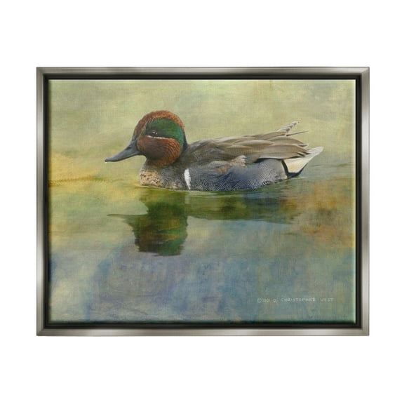 Stupell Wild Duck Nature Pond Wildlife Animals & Insects Photography Gray Floater Framed Art Print Wall Art