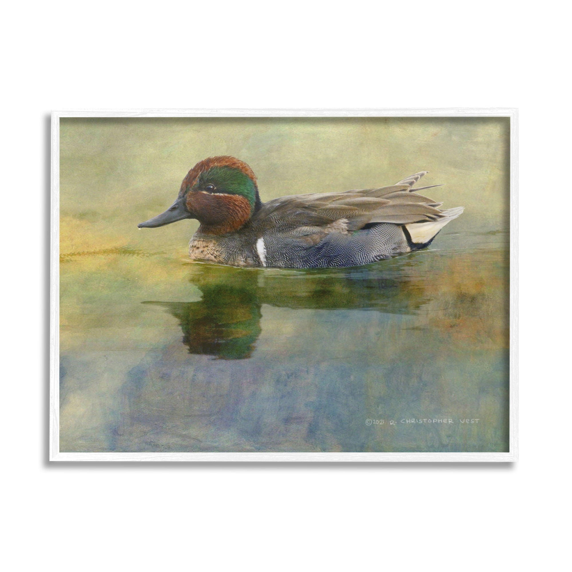 Stupell Wild Duck Nature Pond Wildlife Animals & Insects Photography White Framed Art Print Wall Art