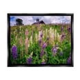 thumbnail image 1 of Stupell Wild Lavender Field Grassland Landscape Photography Black Floater Framed Art Print Wall Art, 1 of 6
