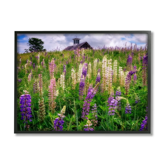 Stupell Wild Lavender Field Grassland Landscape Photography Black Framed Art Print Wall Art