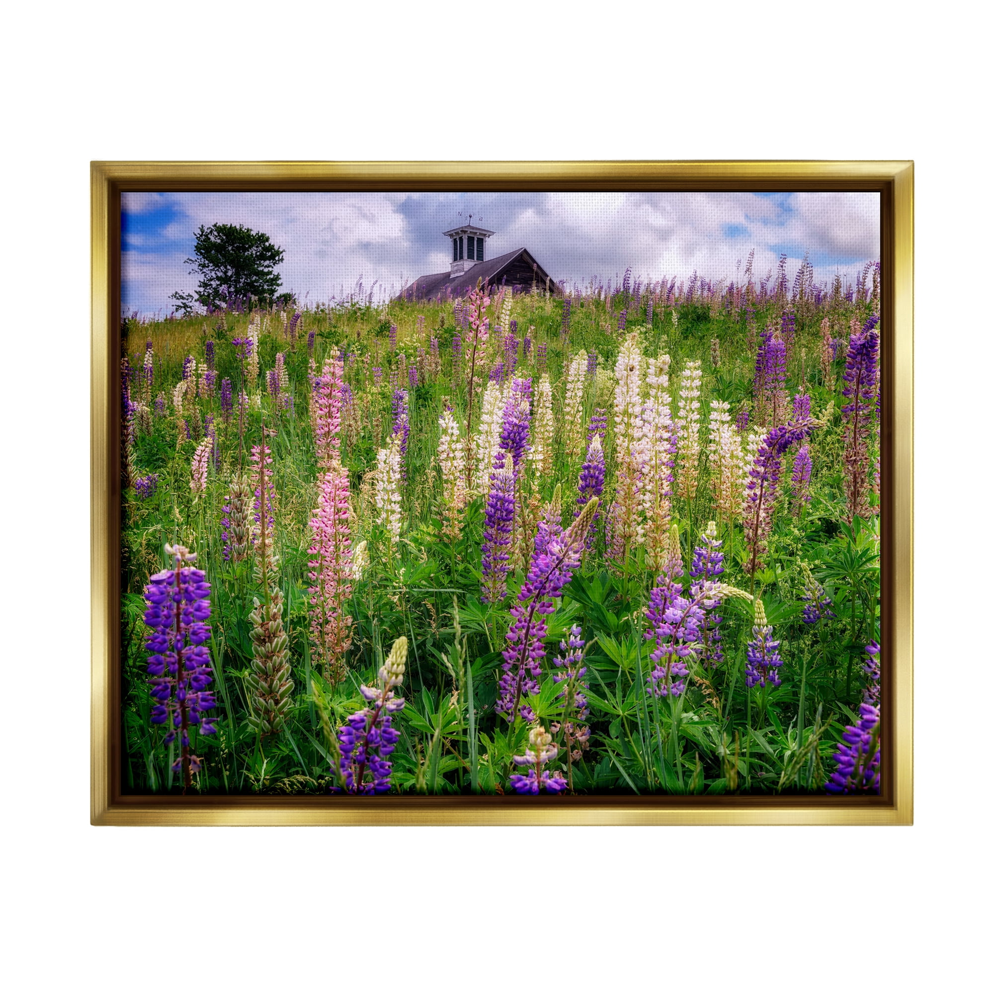 Stupell Wild Lavender Field Grassland Landscape Photography Gold Floater Framed Art Print Wall Art
