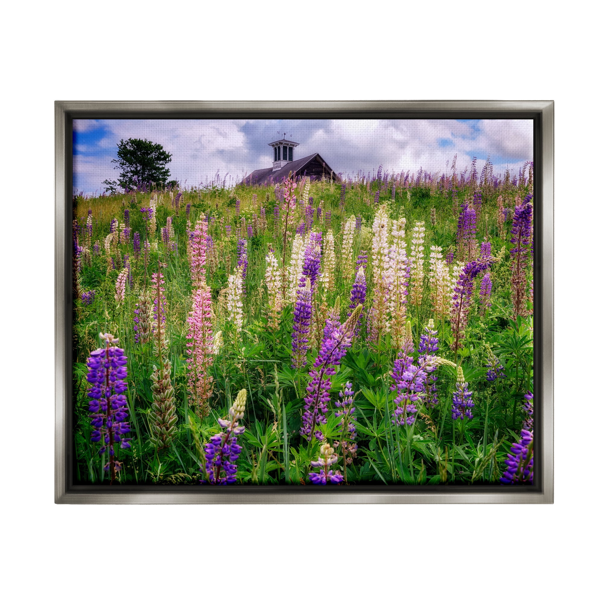 Stupell Wild Lavender Field Grassland Landscape Photography Gray Floater Framed Art Print Wall Art