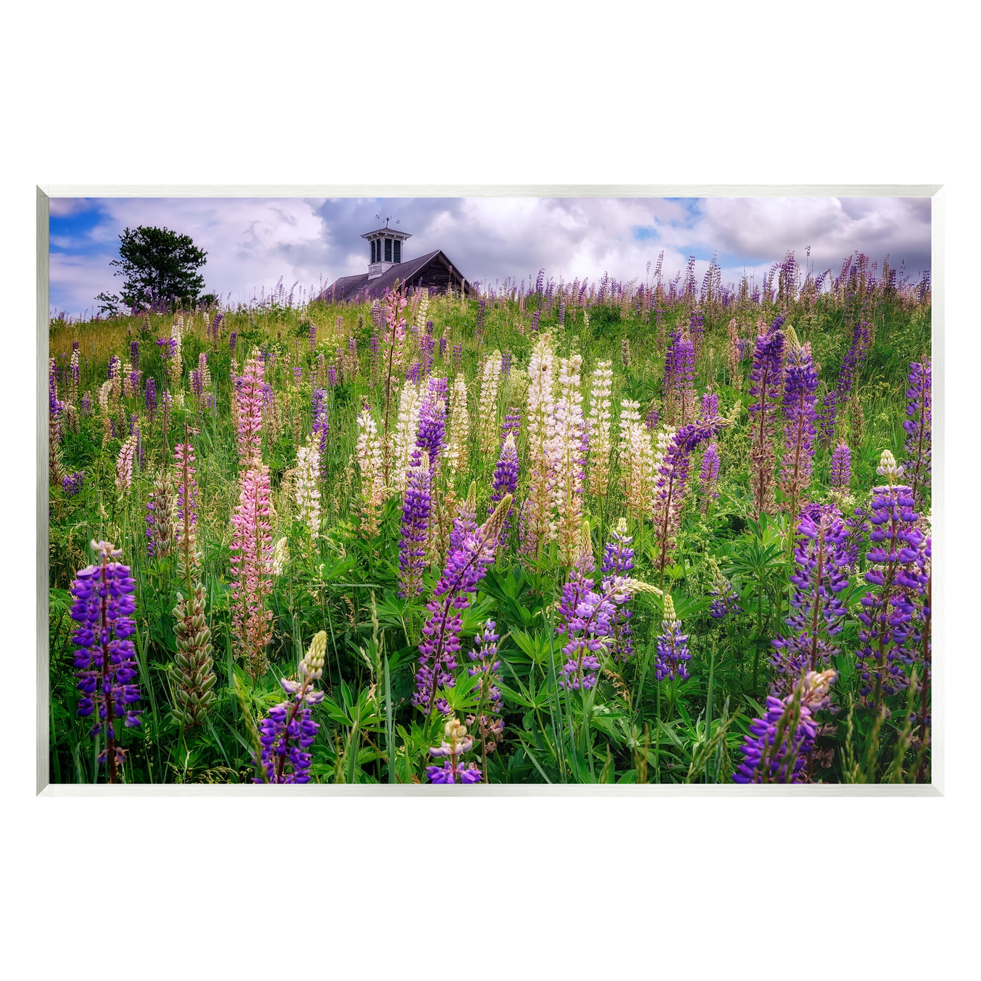 Stupell Wild Lavender Field Grassland Landscape Photography Wall Plaque Unframed Art Print Wall Art