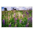 thumbnail image 1 of Stupell Wild Lavender Field Grassland Landscape Photography Wall Plaque Unframed Art Print Wall Art, 1 of 6