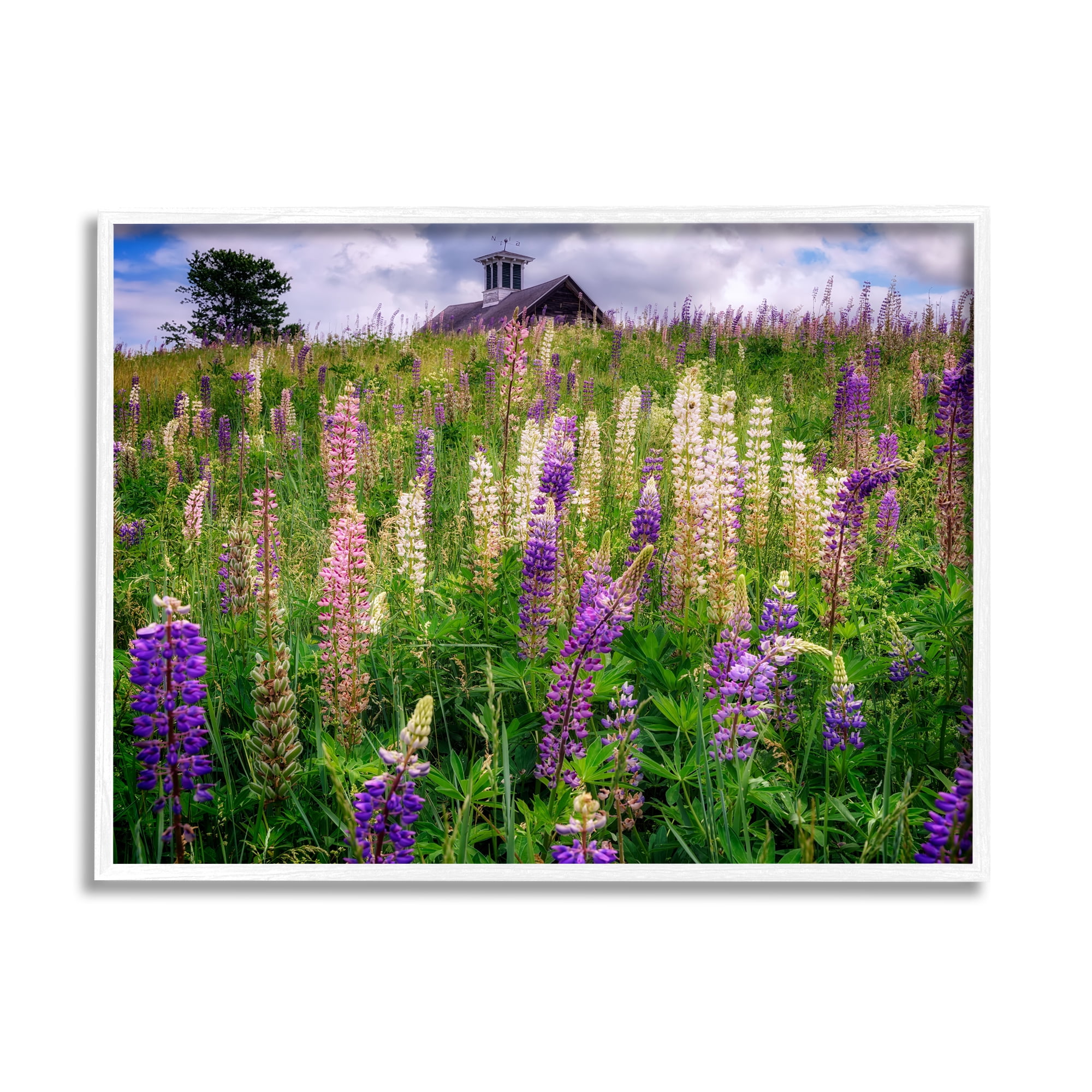 Stupell Wild Lavender Field Grassland Landscape Photography White Framed Art Print Wall Art