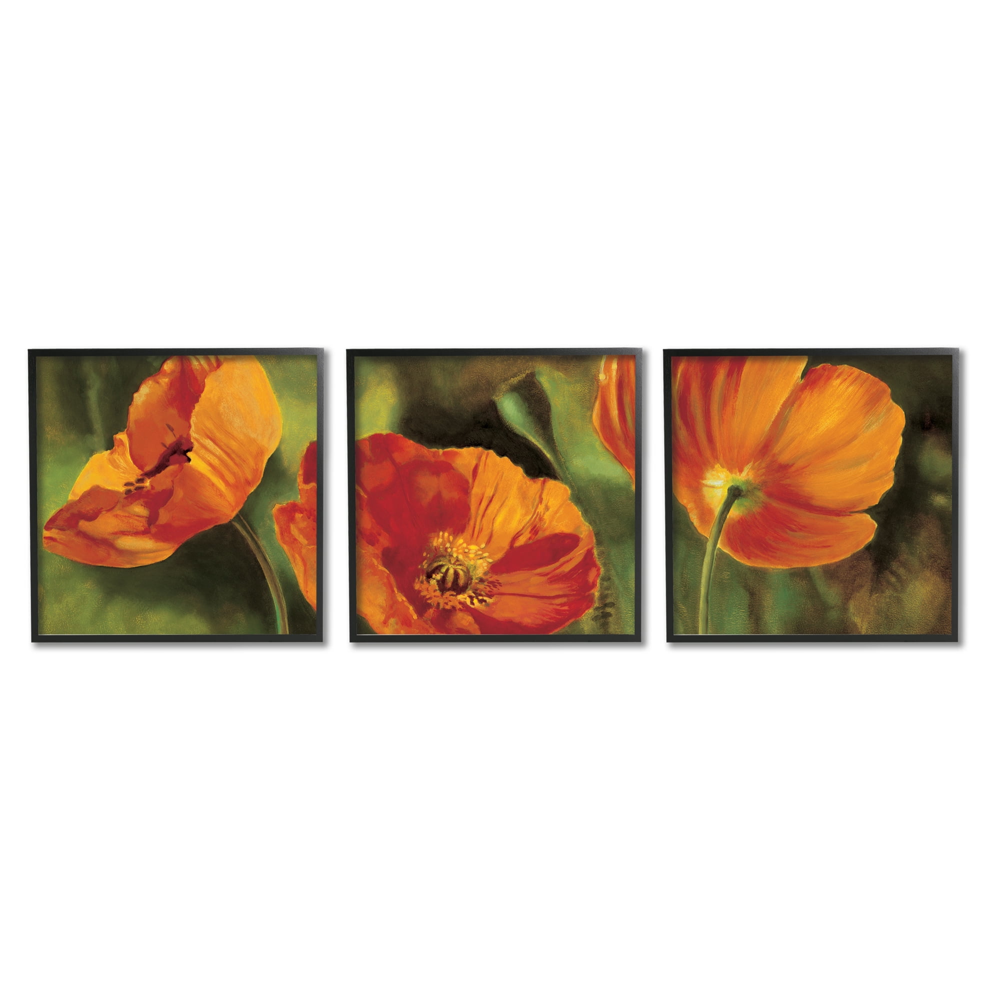 Stupell Wild Poppy Blooms Flower Garden Botanical & Floral Painting Black Framed Art Print Wall Art, Set of 3