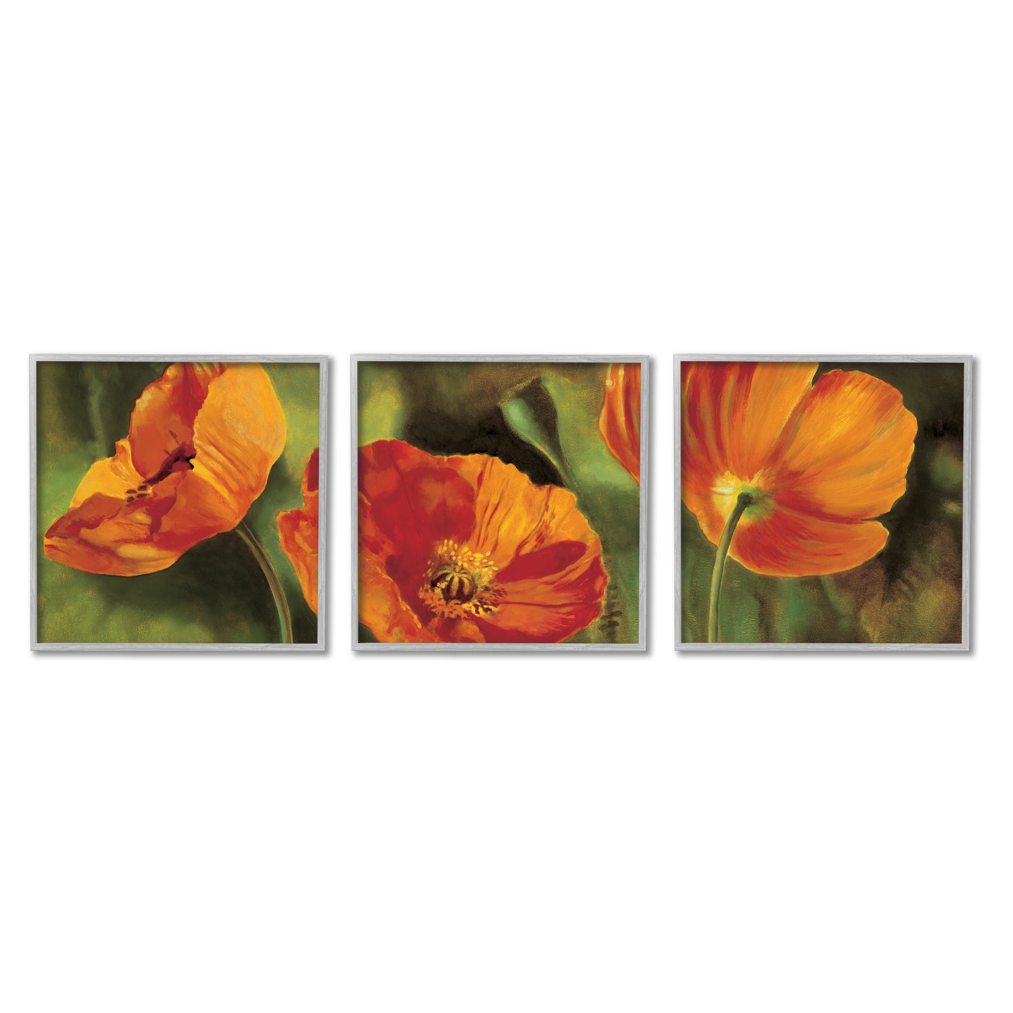 Stupell Wild Poppy Blooms Flower Garden Botanical & Floral Painting Gray Framed Art Print Wall Art, Set of 3