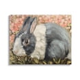 thumbnail image 1 of Stupell Wild Rabbit Pink Blooming Meadow Animals & Insects Painting Gallery Wrapped Canvas Print Wall Art, 1 of 5