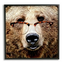 Stupell Wildlife Grizzly Bear Glasses Animals & Insects Painting Black Framed Art Print Wall Art