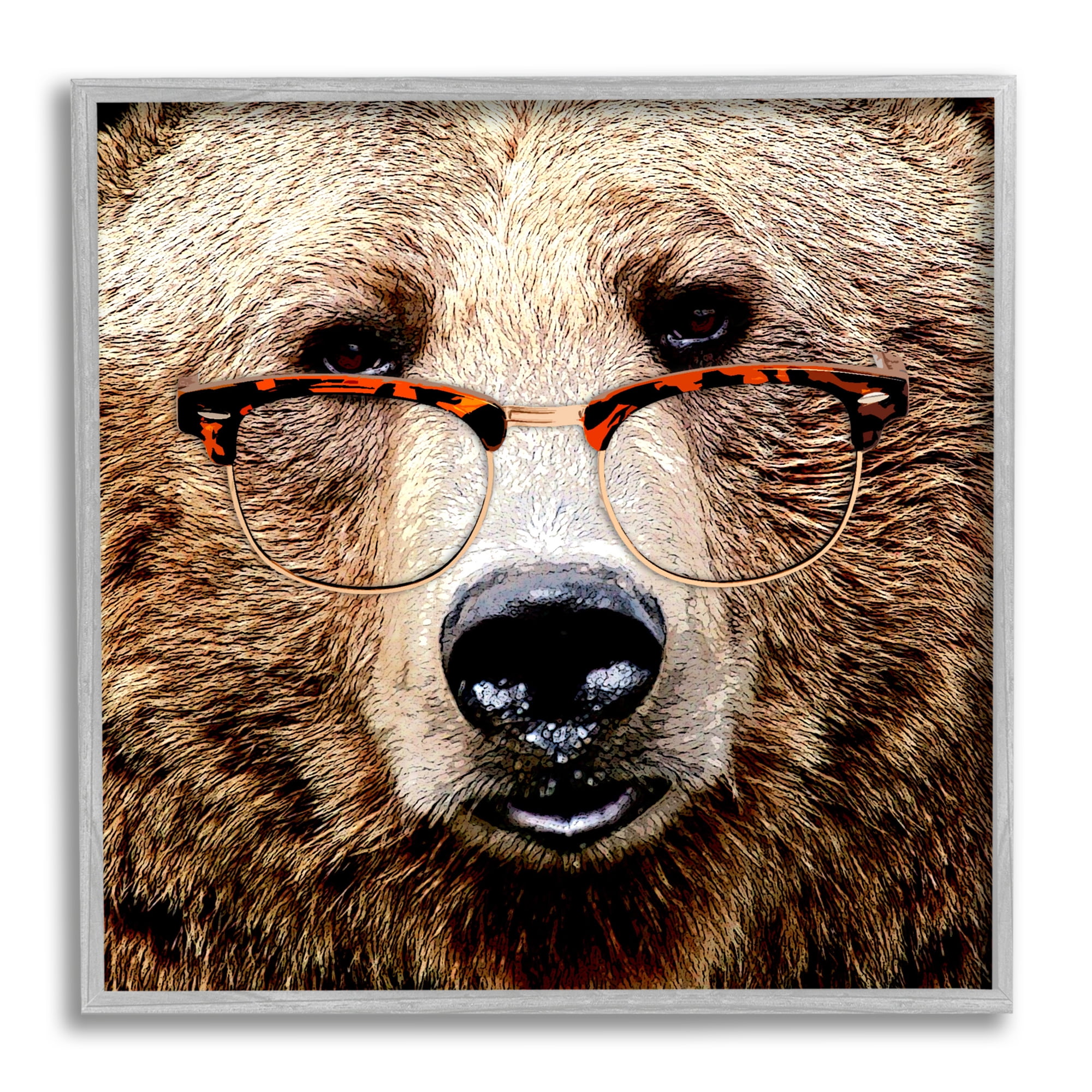 Stupell Wildlife Grizzly Bear Glasses Animals & Insects Painting Gray Framed Art Print Wall Art