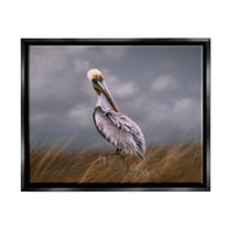 Stupell Wildlife Pelican Bird Cloudy Sky Animals & Insects Photography Black Floater Framed Art Print Wall Art