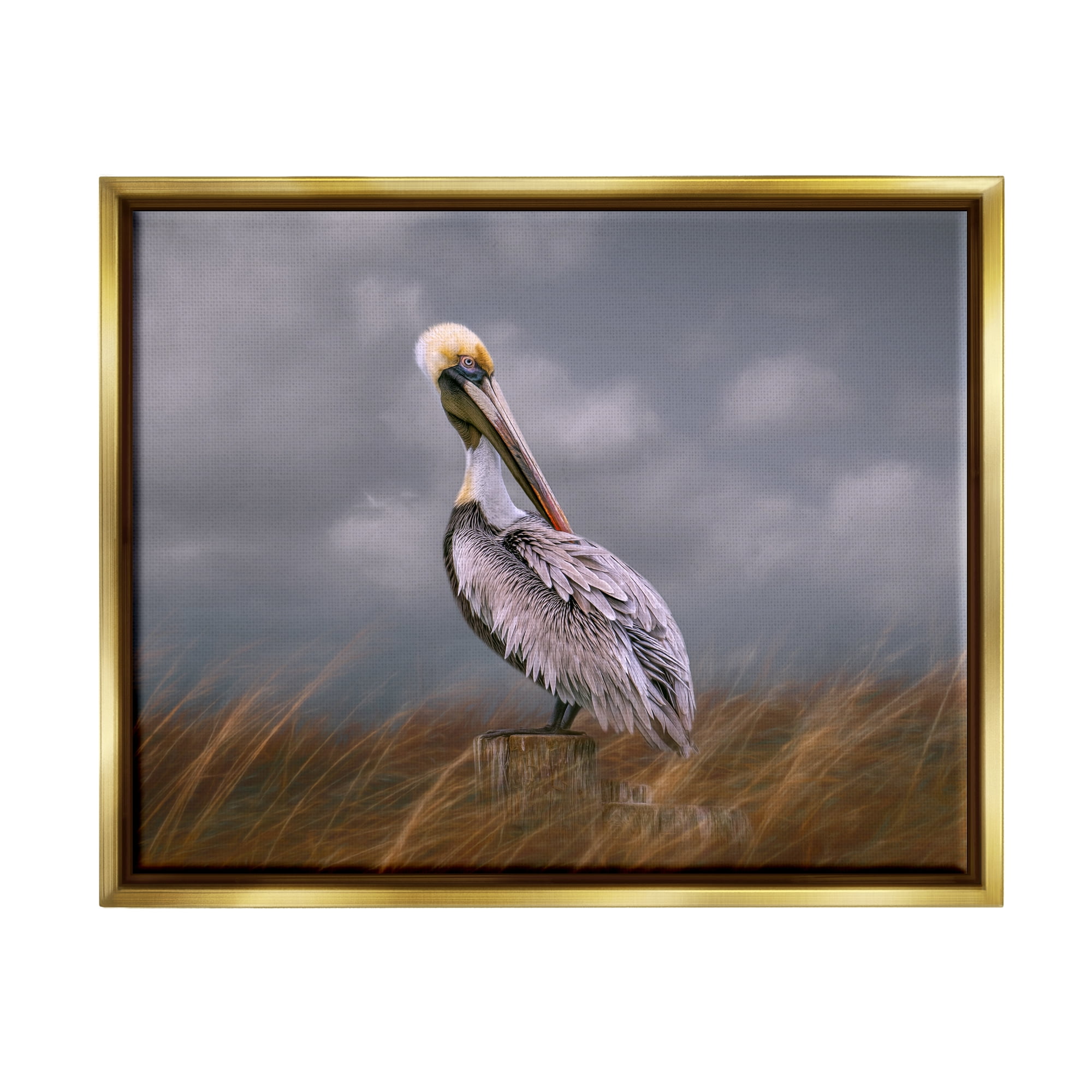 Stupell Wildlife Pelican Bird Cloudy Sky Animals & Insects Photography Gold Floater Framed Art Print Wall Art