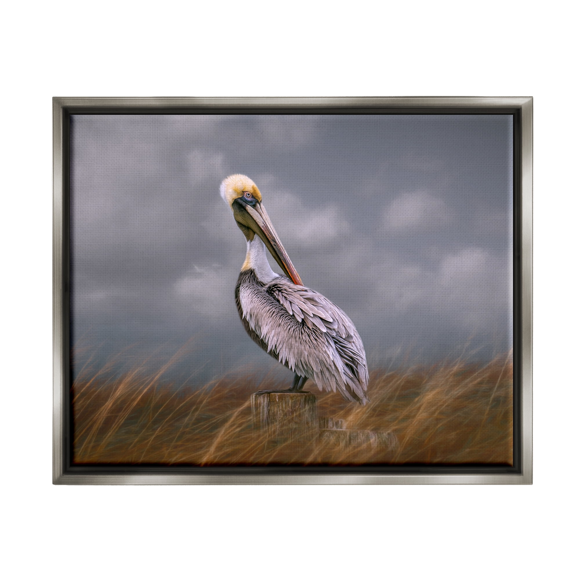 Stupell Wildlife Pelican Bird Cloudy Sky Animals & Insects Photography Gray Floater Framed Art Print Wall Art